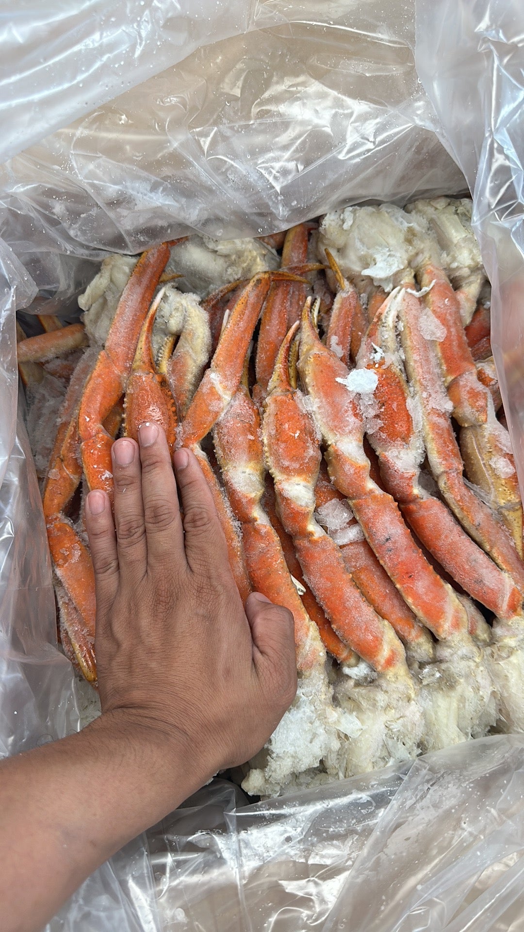 Jumbo Snow Crab Legs Cluster size 12+